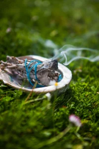 A picture from Aoife Brown's gallery